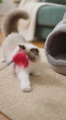 Caminha Iglu Impermeável e Lavável para Pets – Linha Premium Confort, Proteção e Aconchego para Seu Melhor Amigo